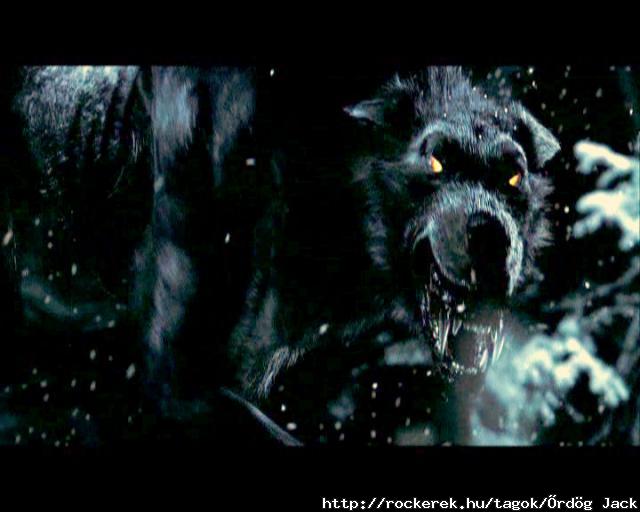 Wolf