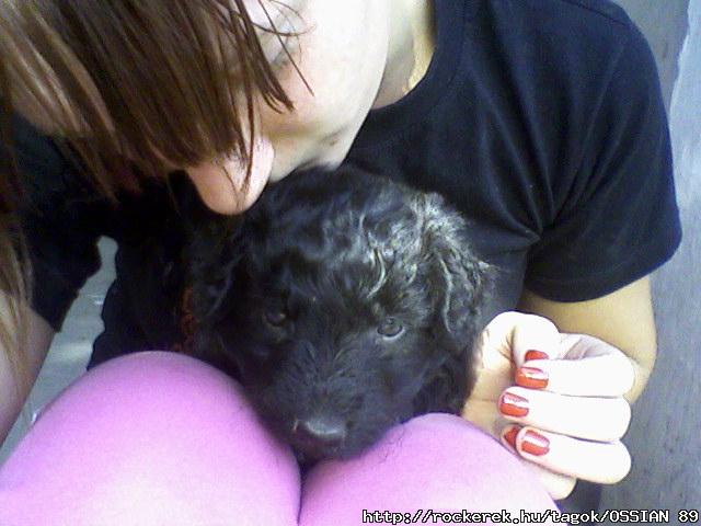 Bogimmal <3