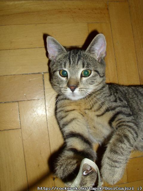 Mr hrman vagyunk... :)