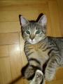 Mr hrman vagyunk... :)