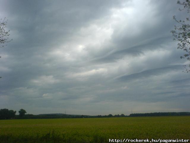 DSC01005