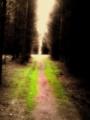 forgotten path