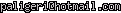 msn