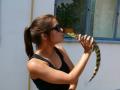 pici kajmn :)