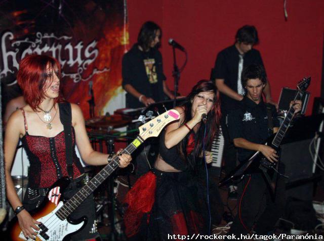 a rgi banda