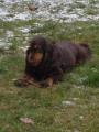 llandan rgni... Br ez a dolga :) 2