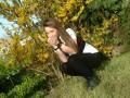 nyuszi l a fben
