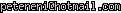 msn
