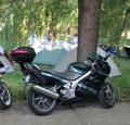 nvtelen01