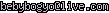 msn
