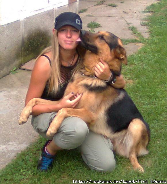 Deutsche Schferhund!!!(L)
