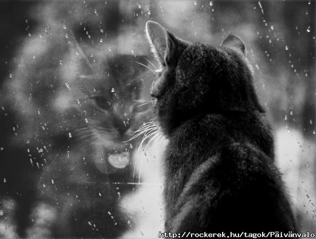 Rain rain go away...