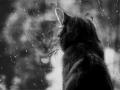 Rain rain go away...