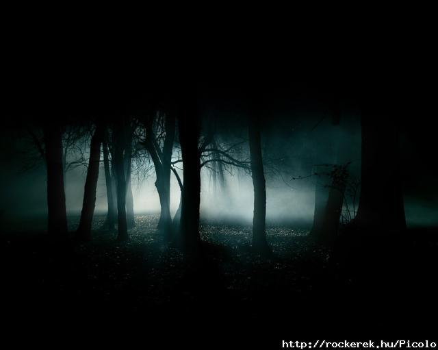 Dark-Forest-35836