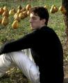 PearToPear