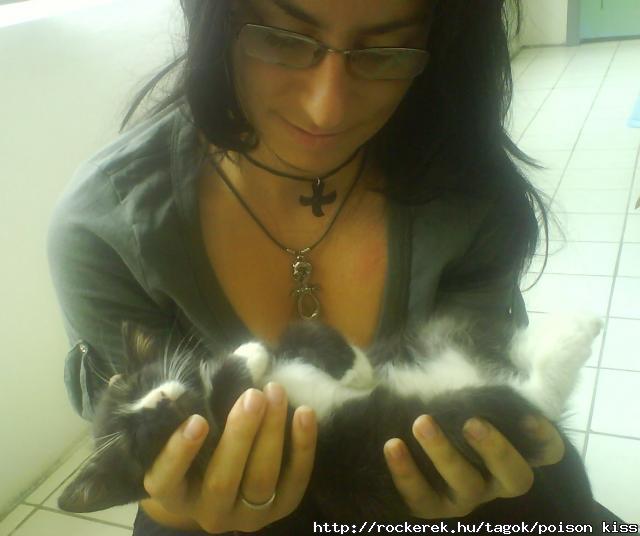 cicaaaaaaaaaa :X