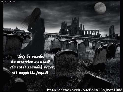Msolat-20854