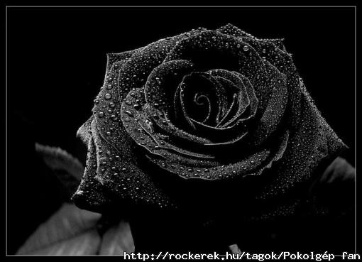051f02e32ce92a765623e37a8672d534_2