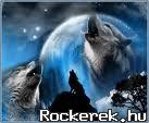 9968317_5c83a4bb6ec81773d149a811a8541936_s[1]