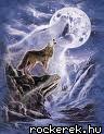 9968323_2e627d69ff925a90f5720abd7a4770d5_s[1]