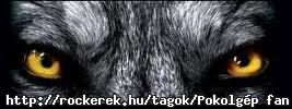 images[11]