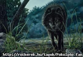 images[6]