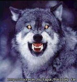 2395903994_f069b6bcd9[1]