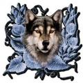 images[8]