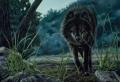 images[6]