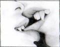 vampire_kiss
