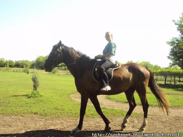 Filivel :)