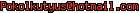msn