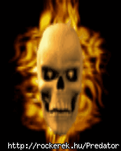 32