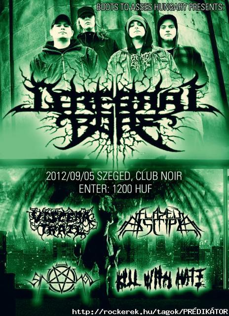 Cerebral Bore