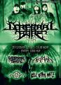 Cerebral Bore