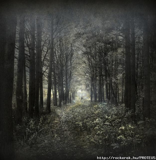 yaroslav gerzhedovich-23