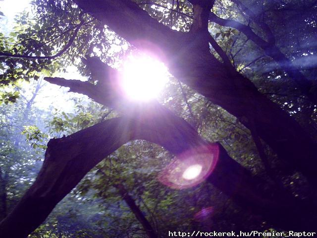 PICT0020