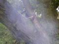PICT0021