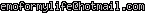 msn
