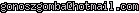 msn