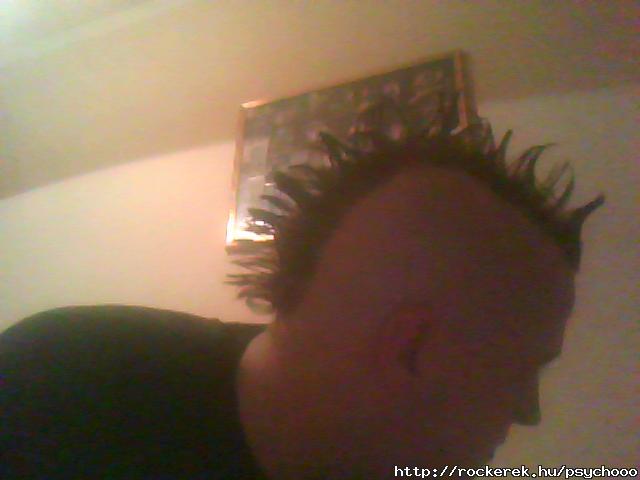 Bild 009