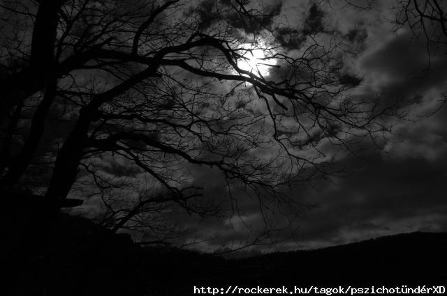 dark_night_by_rad_wulf-d5xx0pd