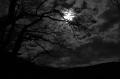 dark_night_by_rad_wulf-d5xx0pd