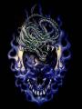 dragon-skull-my-son-31000