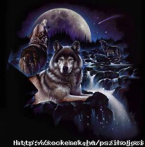 wolf3