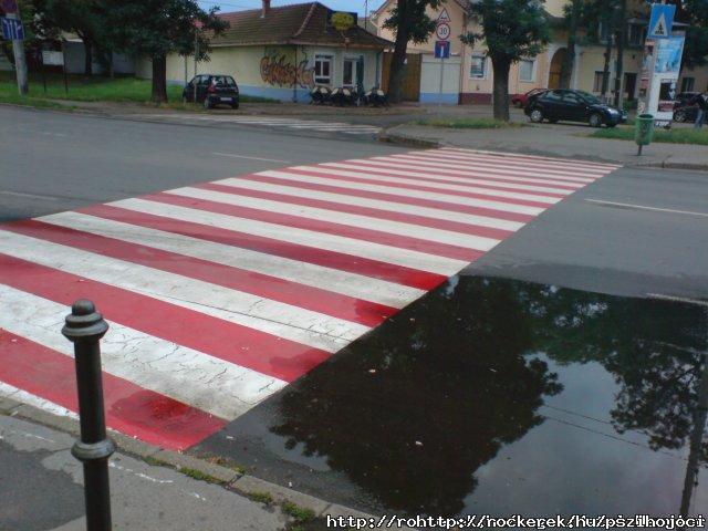 zebrajpg