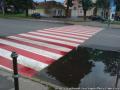 zebrajpg