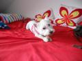 DSCN0907