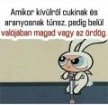 puncibol_csorg_friss_es_meleg_geci