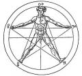 agrippa_nettesheim_occulta_philosophia_goldener_schnitt_proportionen_menschen_2